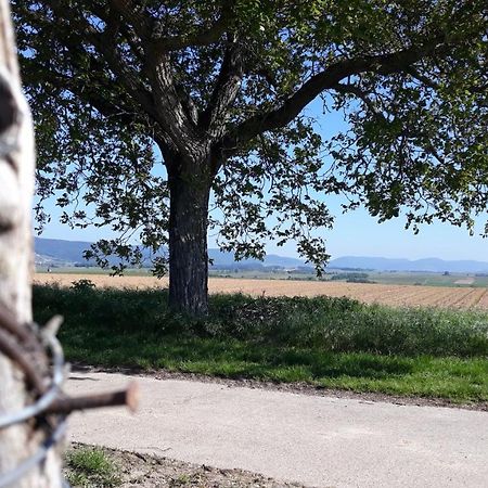 Die Gefaehrten Oberhausen  Eksteriør billede