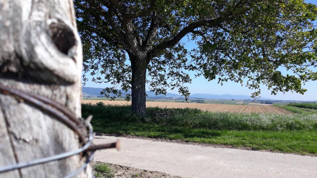 Die Gefaehrten Oberhausen  Eksteriør billede