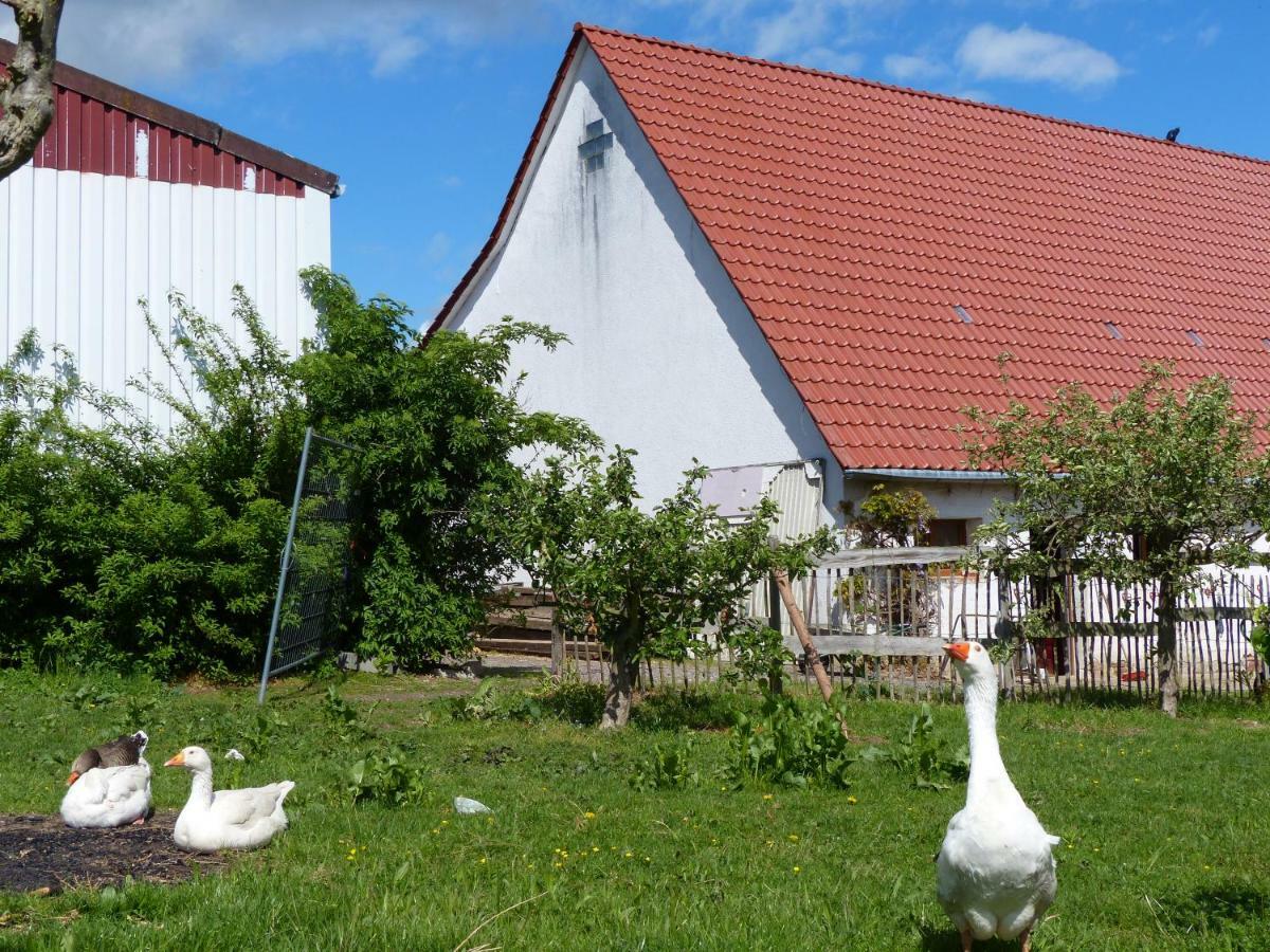Die Gefaehrten Oberhausen  Eksteriør billede